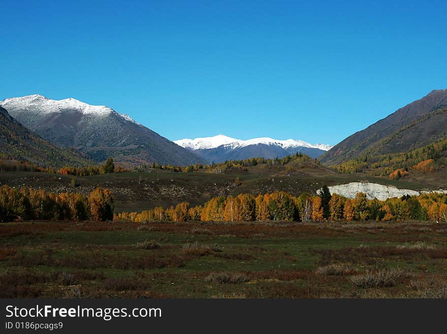 The alpine farm land in Hemu, Xinjiang, China. The alpine farm land in Hemu, Xinjiang, China.