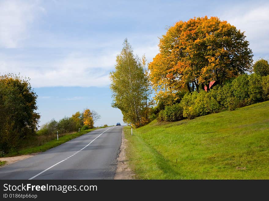 Paints Of Autumn