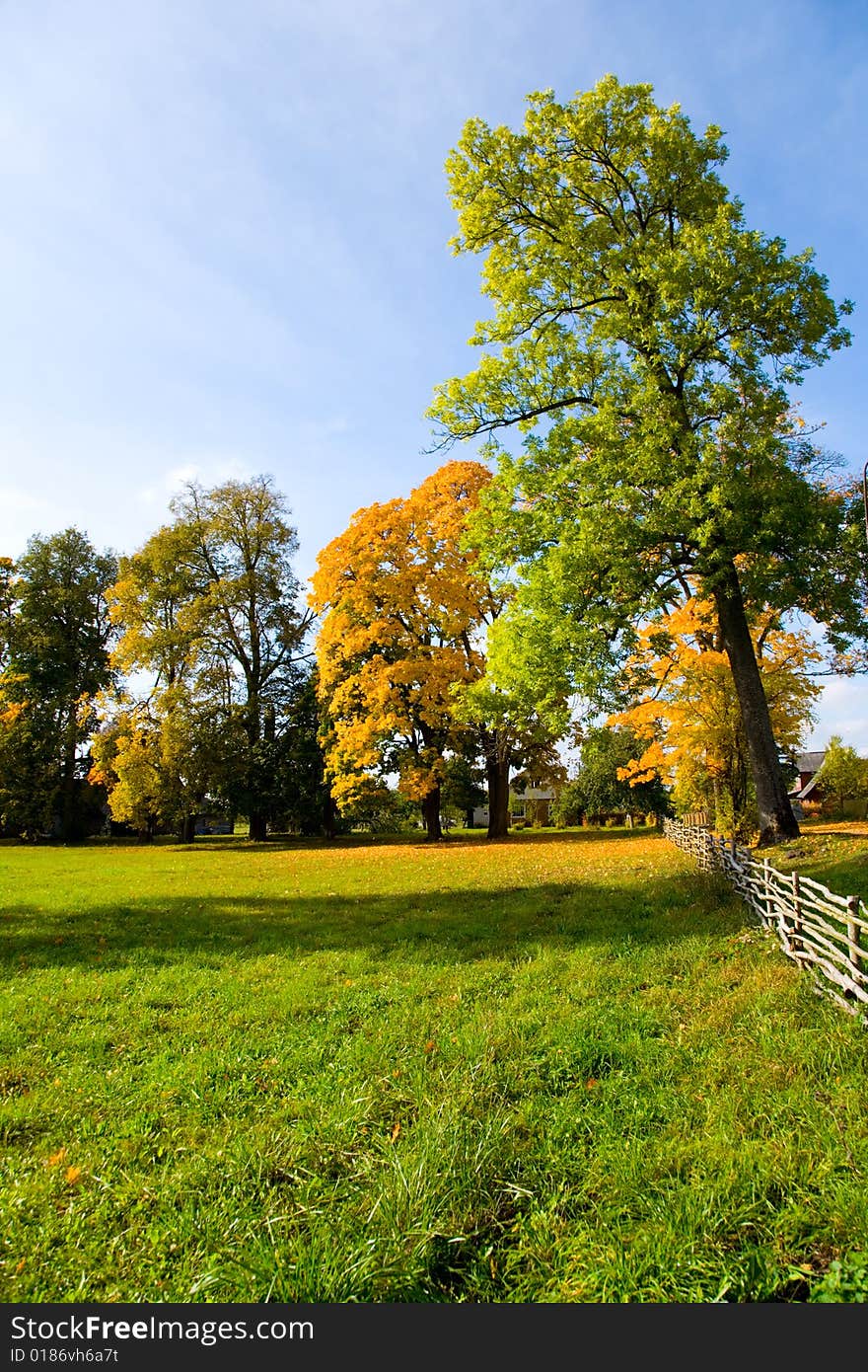 Paints of autumn