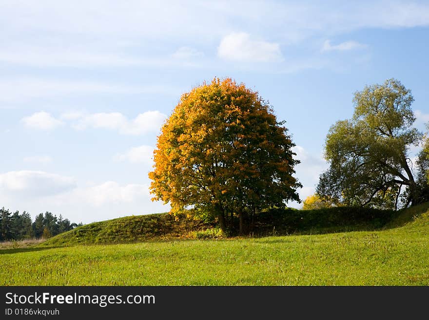 Paints of autumn