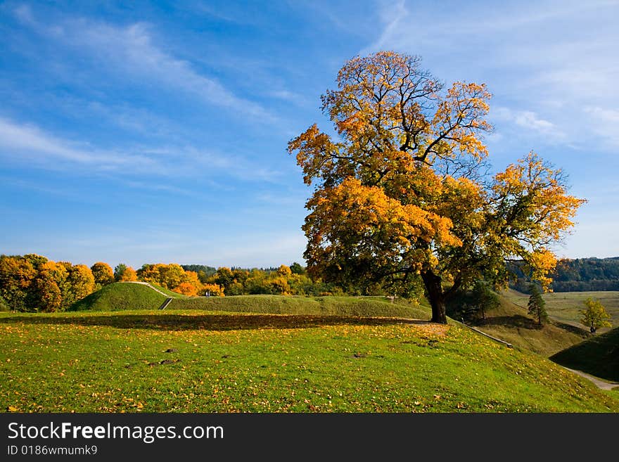 Paints Of Autumn