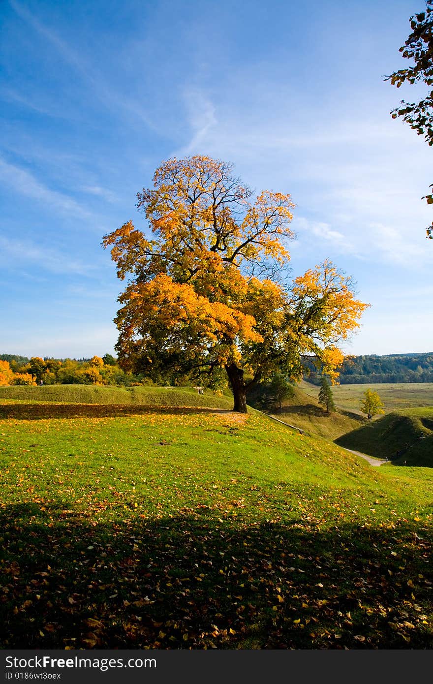 Paints of autumn