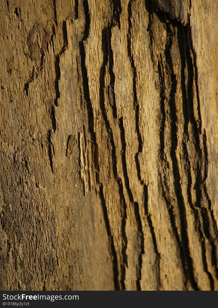 Wooden background