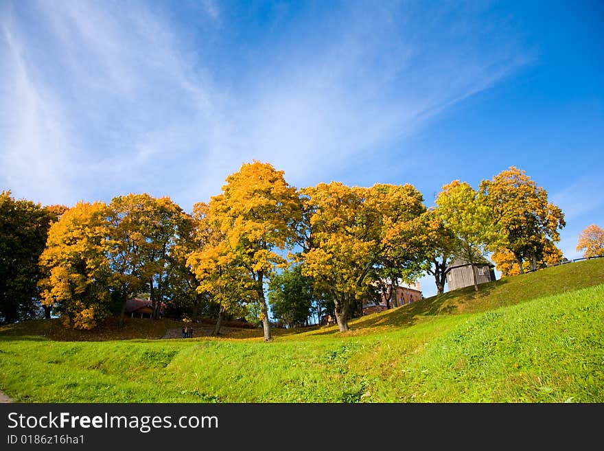 Paints of autumn