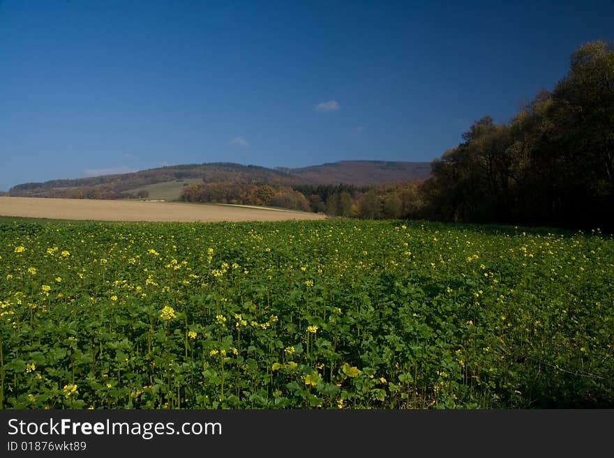 Czech landscape