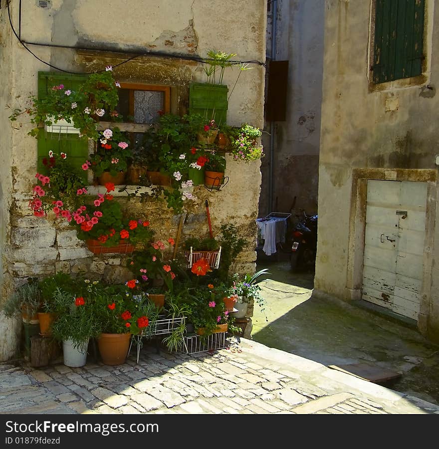 Photo of flowers placed at the courtyard lightened by sun. Photo of flowers placed at the courtyard lightened by sun