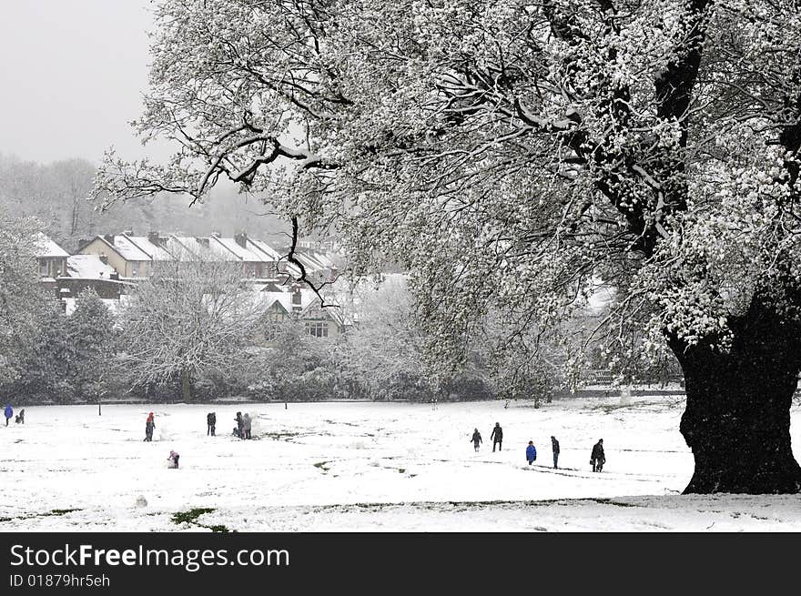 Snowy Winters Scene