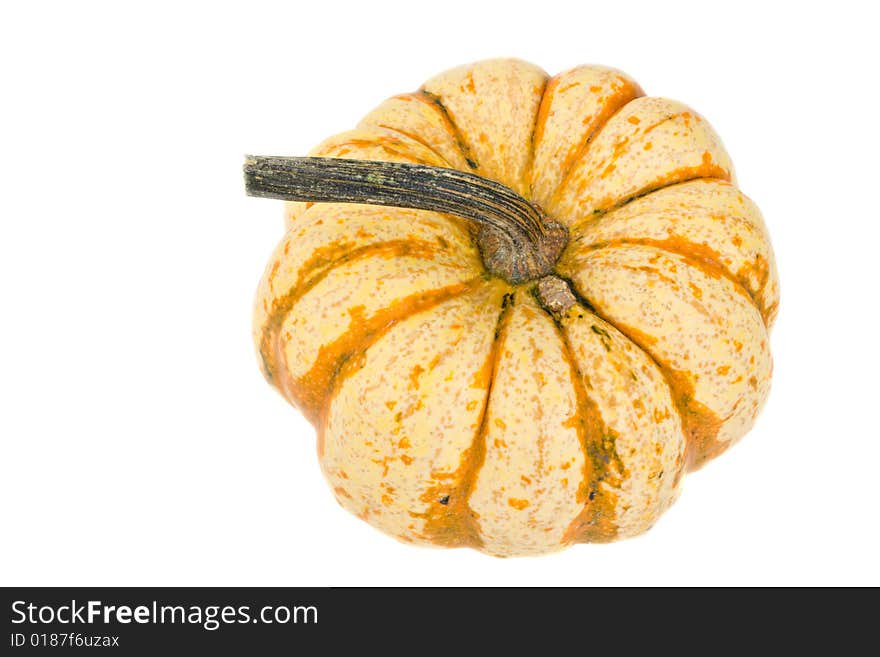 A pumpkin isolated on white background