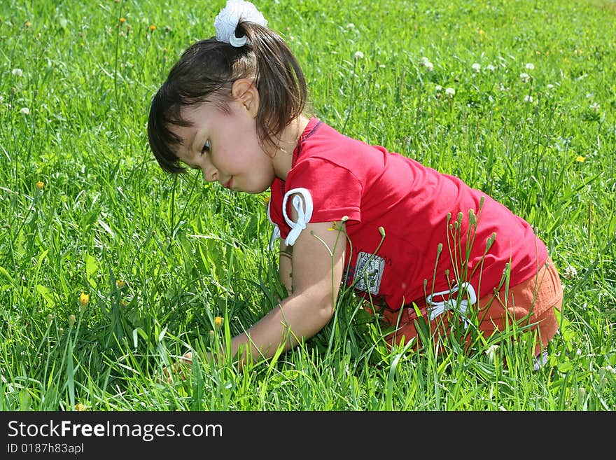 Little girl tear flower dandelion