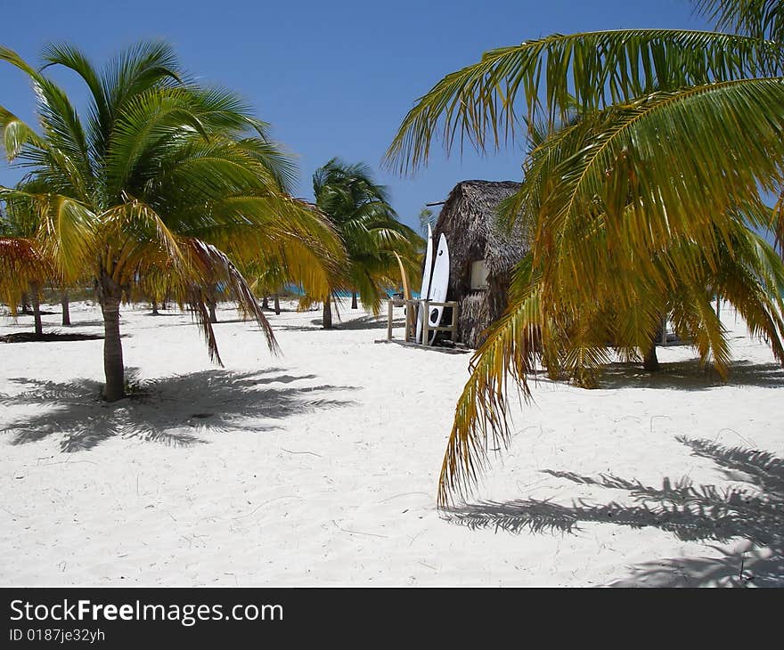 Palm trees and surfing center at the picturesque beach at Cayo Largo Island. Palm trees and surfing center at the picturesque beach at Cayo Largo Island