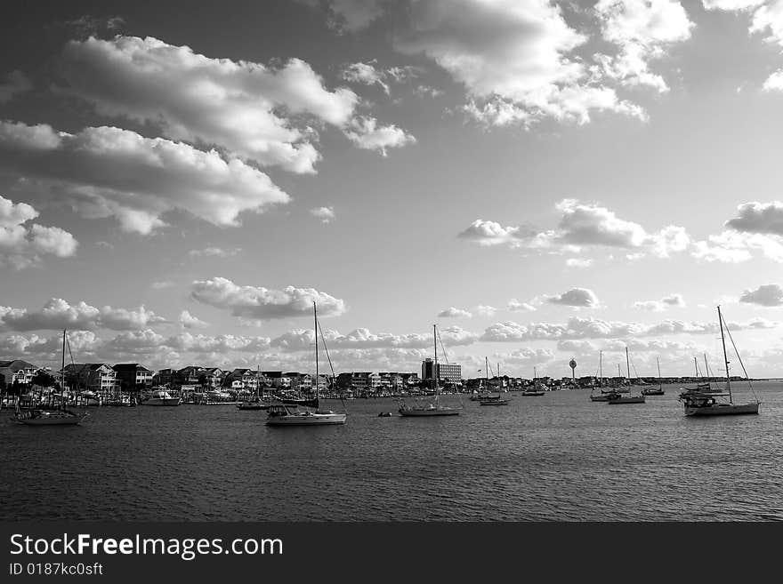 Sailboats B&W