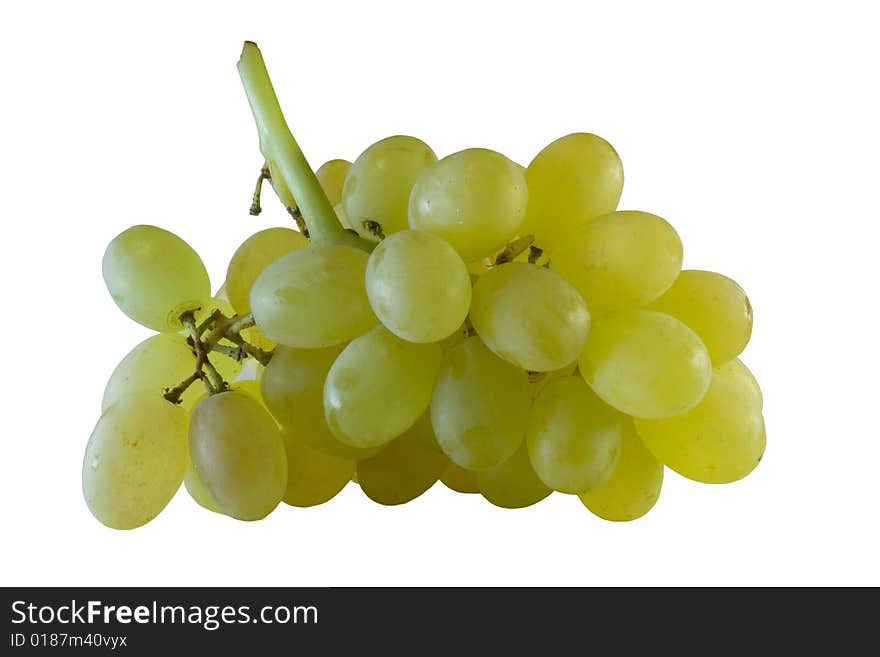 Bunch of grapes on the white background