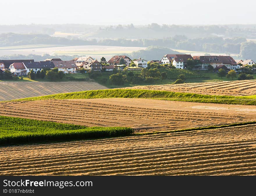 Rural landscape