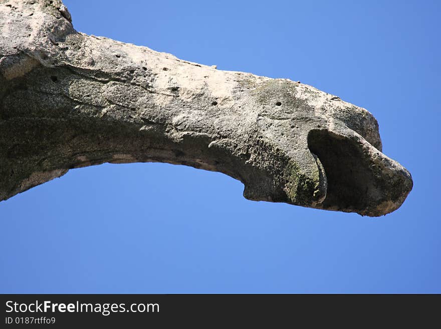 The Gargoyles of Notre Dame Cathedral, Paris