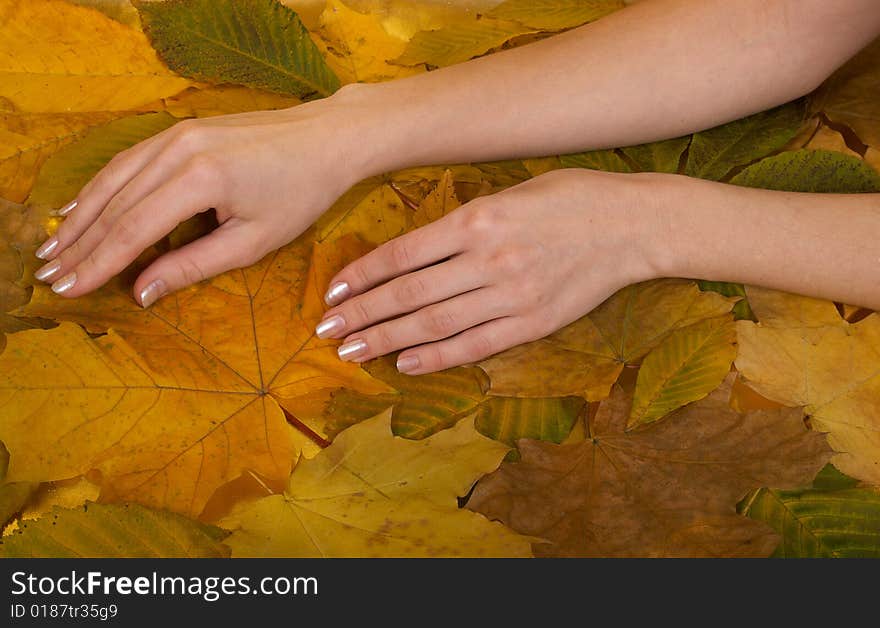 Female hands lie on leaves of yellow colour. Female hands lie on leaves of yellow colour