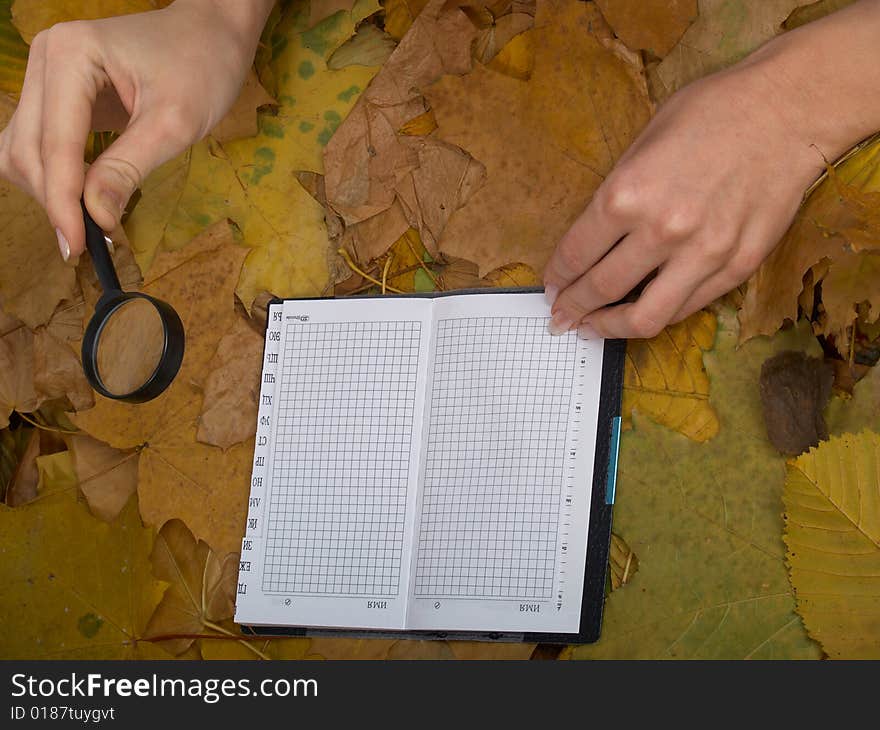 Office on leaves