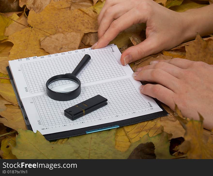 Office accessories against lying autumn leaves. Office accessories against lying autumn leaves