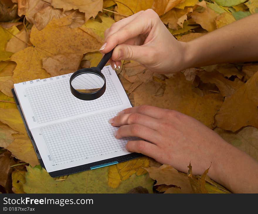 Office accessories against lying autumn leaves. Office accessories against lying autumn leaves