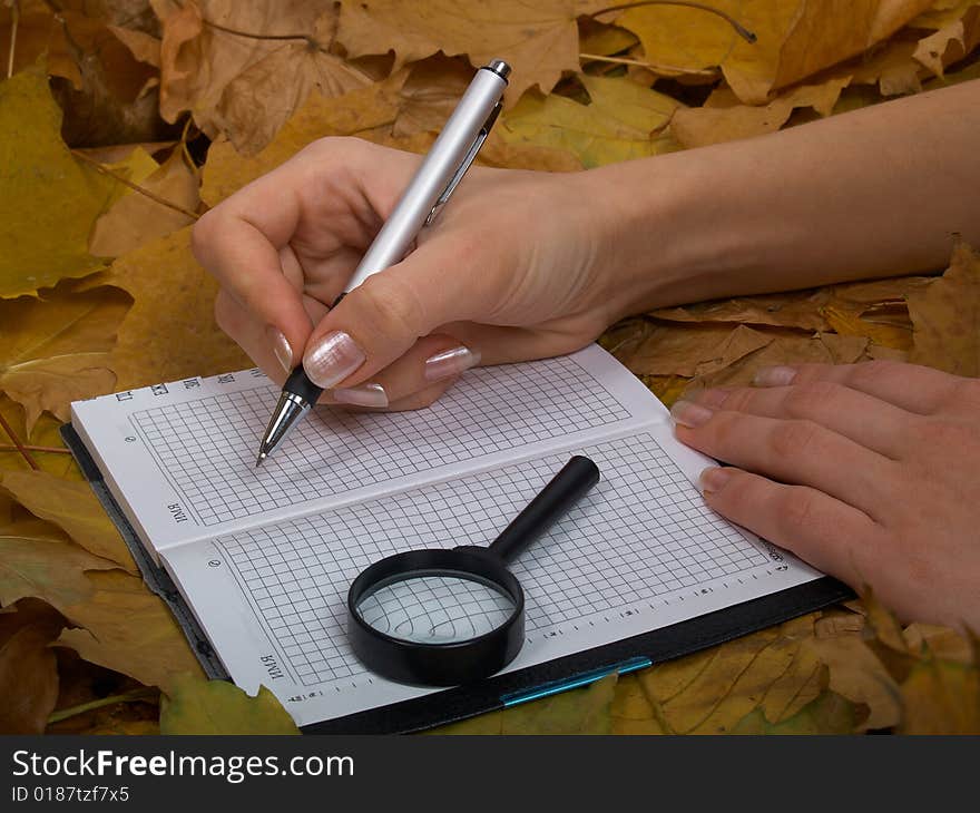 Office accessories against lying autumn leaves. Office accessories against lying autumn leaves