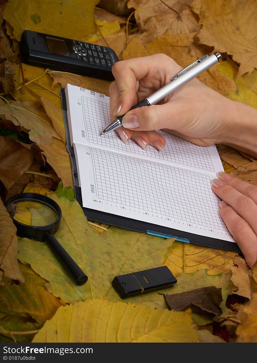 Office accessories against lying autumn leaves. Office accessories against lying autumn leaves