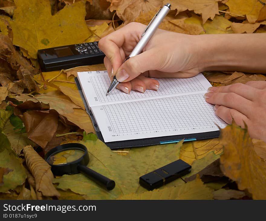 Office accessories against lying autumn leaves. Office accessories against lying autumn leaves