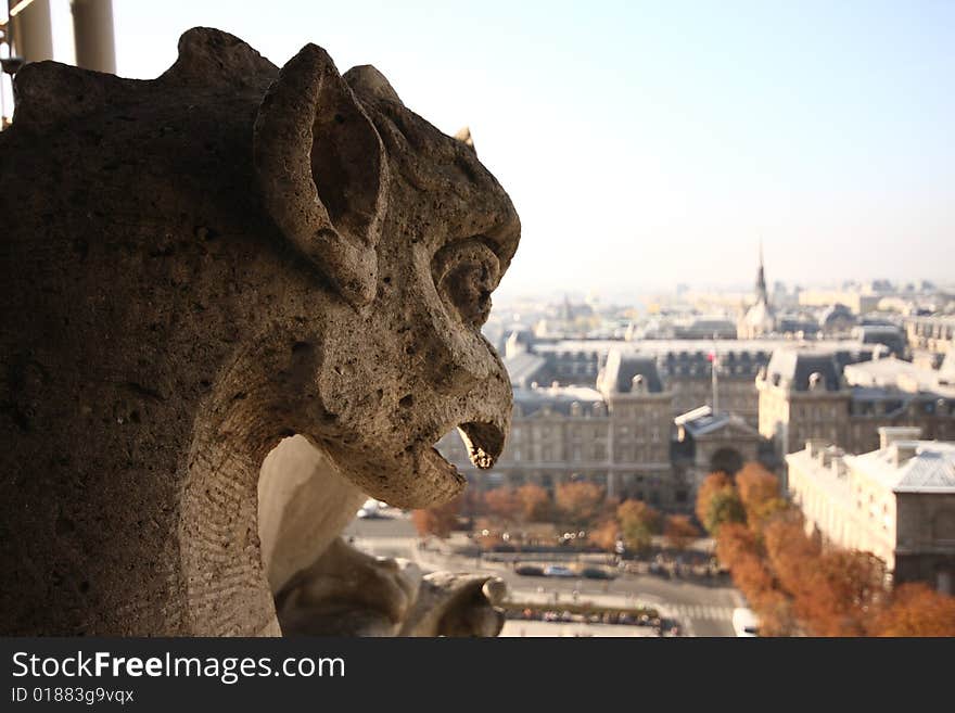 The Gargoyles of Notre Dame looking out over Paris