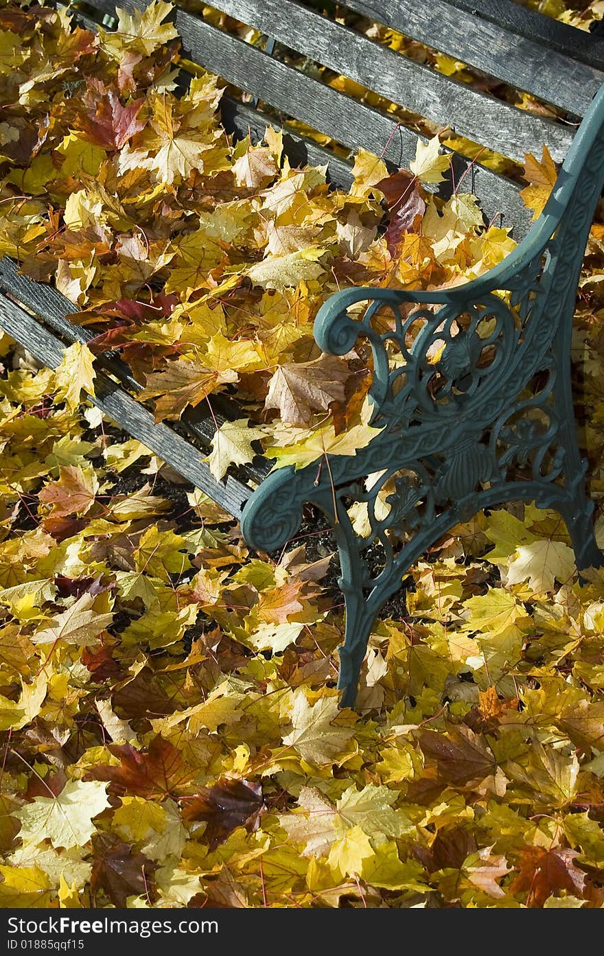 Bench Covered In Leafs