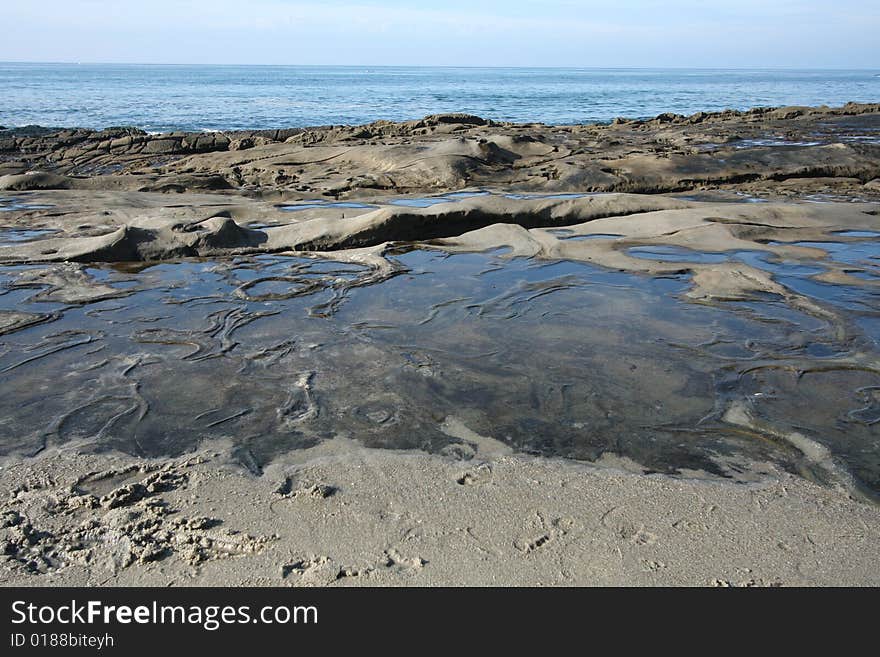 Discover the La Jolla, California, tidepools while ocean water trickles out to sea at low tide. Watch the sea creatures swimming in the water. Discover the La Jolla, California, tidepools while ocean water trickles out to sea at low tide. Watch the sea creatures swimming in the water.