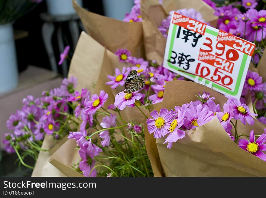 There are florists everywhere in Japan and this is one that caught my attention -- that is, the welcomed butterfly.