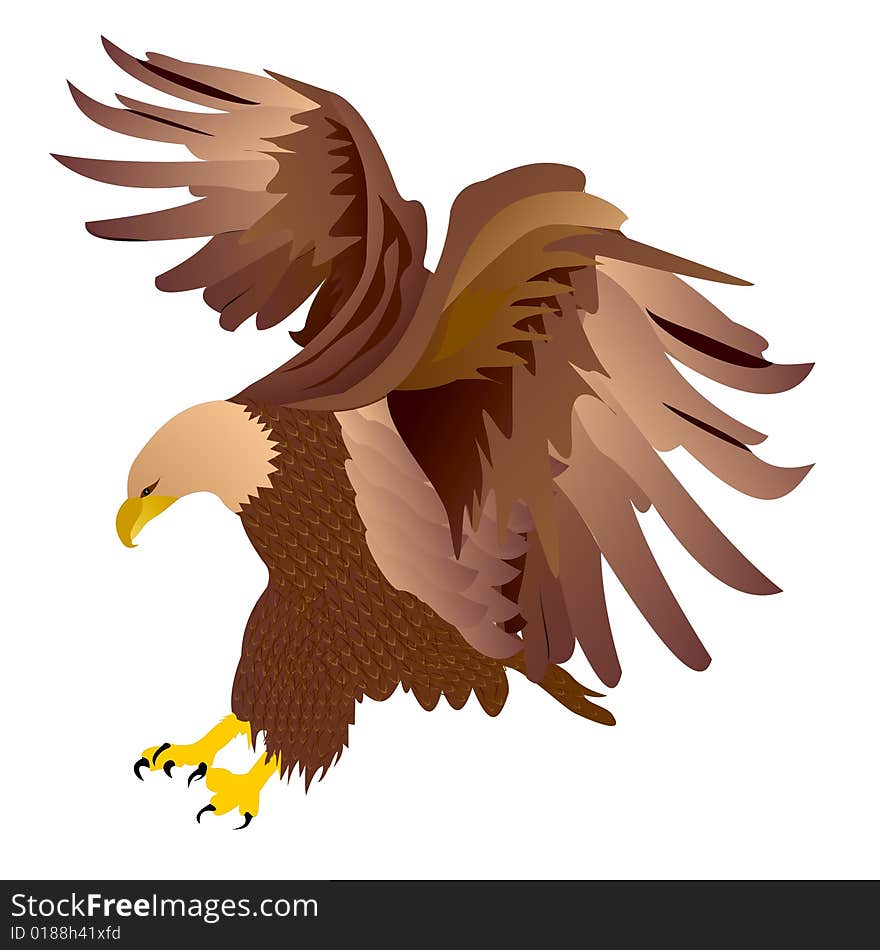 Eagle vector