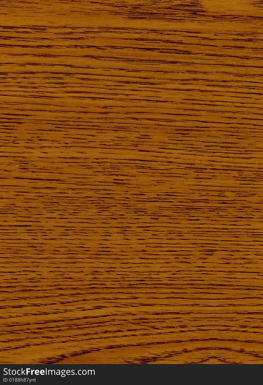 Close-up Wooden Oak Rovere Texture