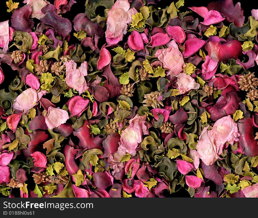 Close up rose petals to background