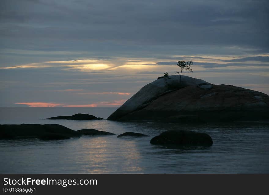 Single tree growing on the rocks in the ocean. Single tree growing on the rocks in the ocean