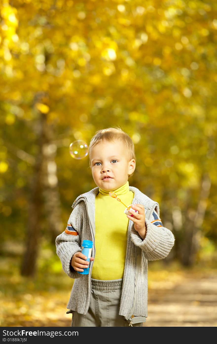 The happy kid plays in the autumn in park. The happy kid plays in the autumn in park