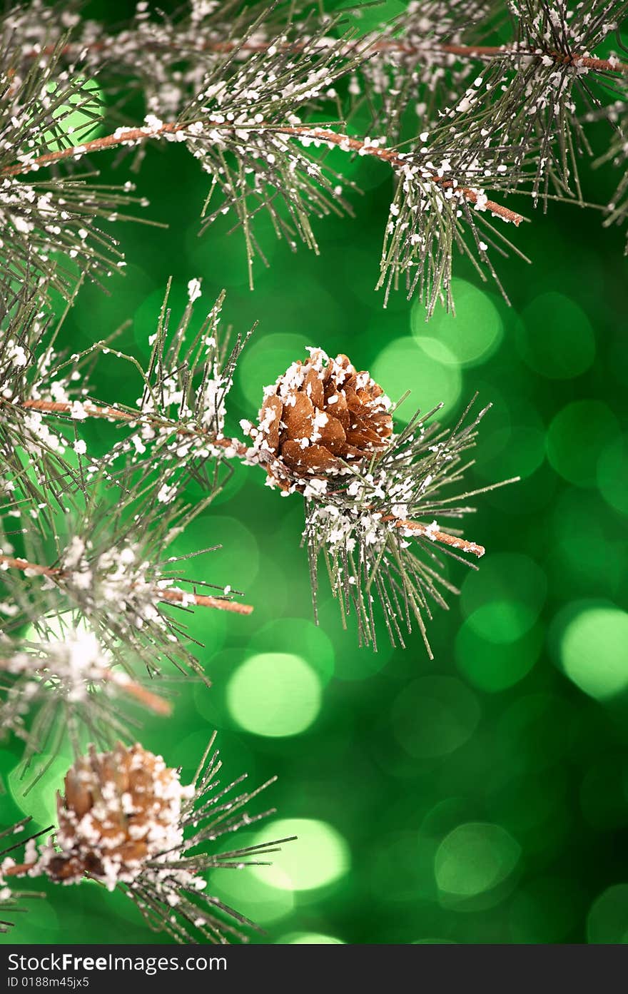 Pine branches with cones on a green sparkling background. Pine branches with cones on a green sparkling background