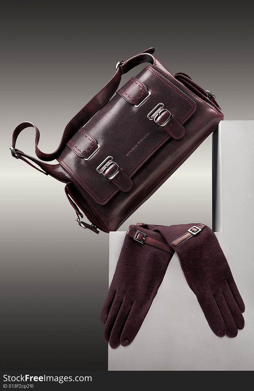 Brown handbag and gloves