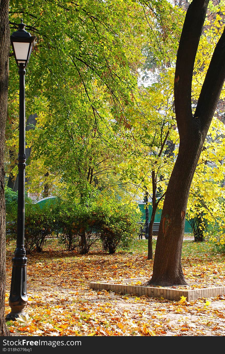 Lantern near the tree in the park