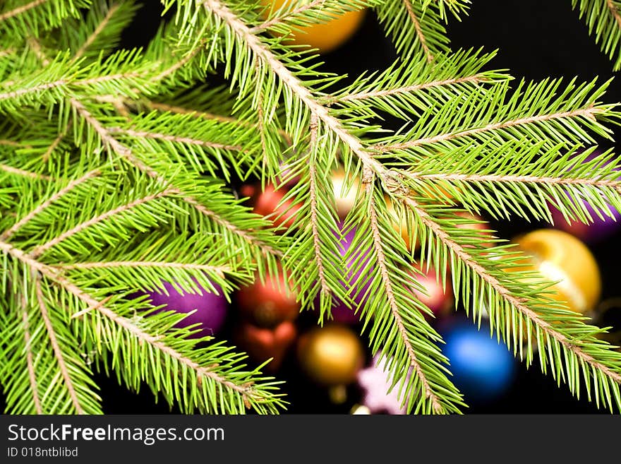 Close-up of christmas tree