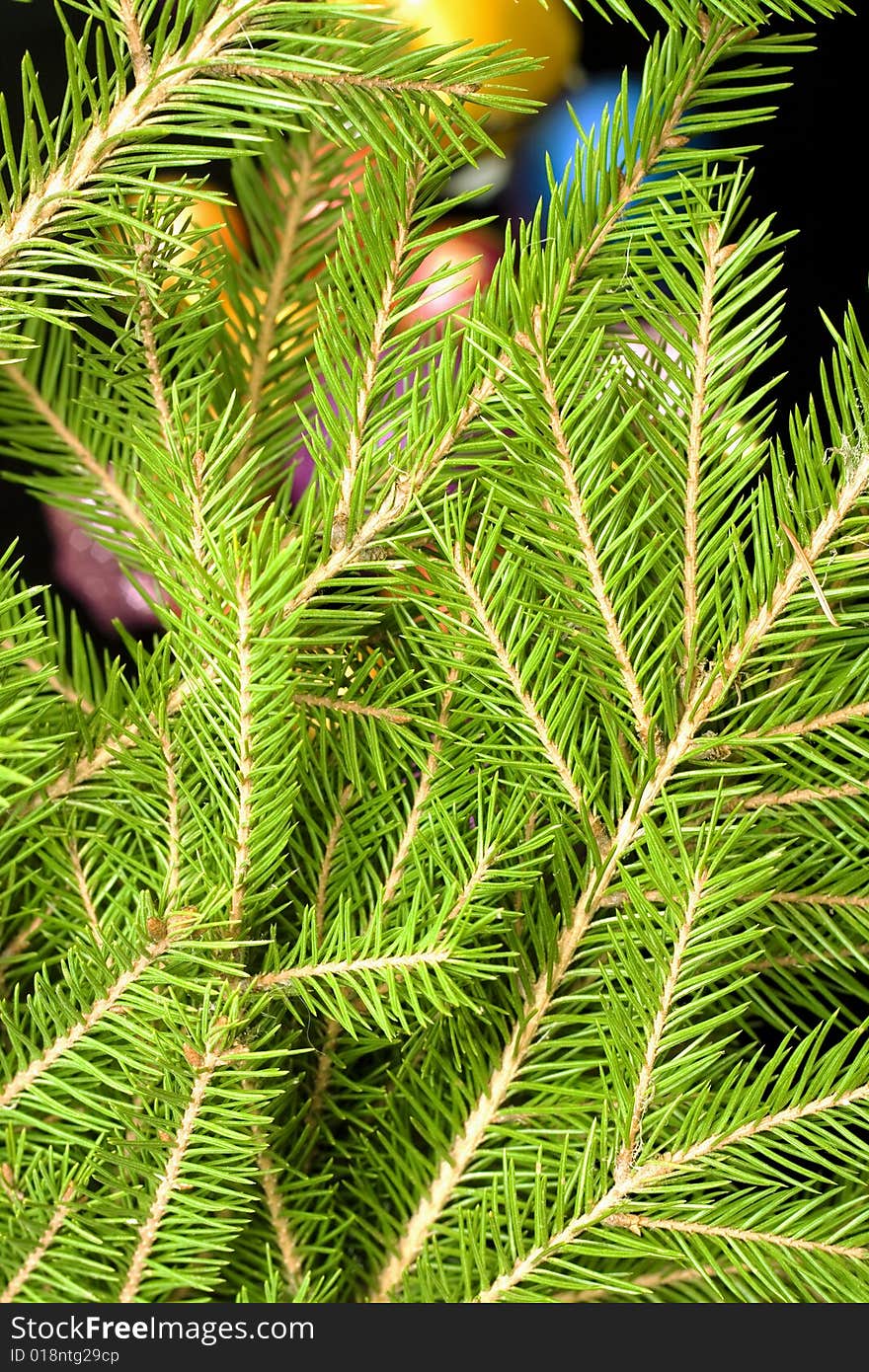 Close up of christmas tree