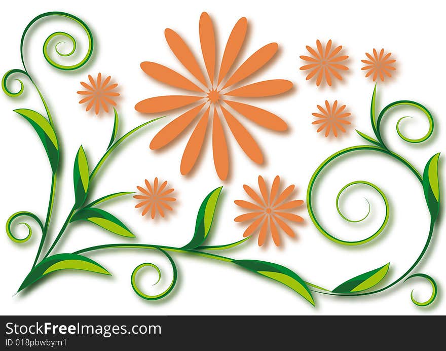 Flowers On White Background