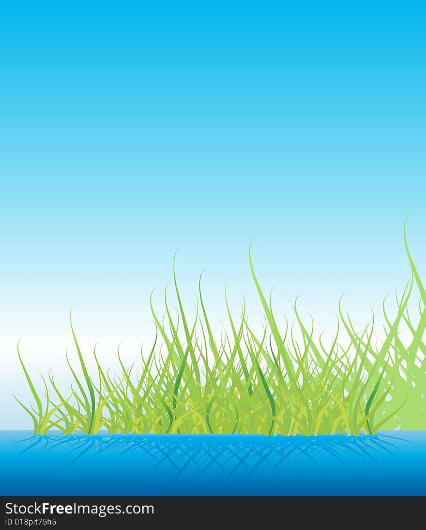 Green grass on water vector illustration