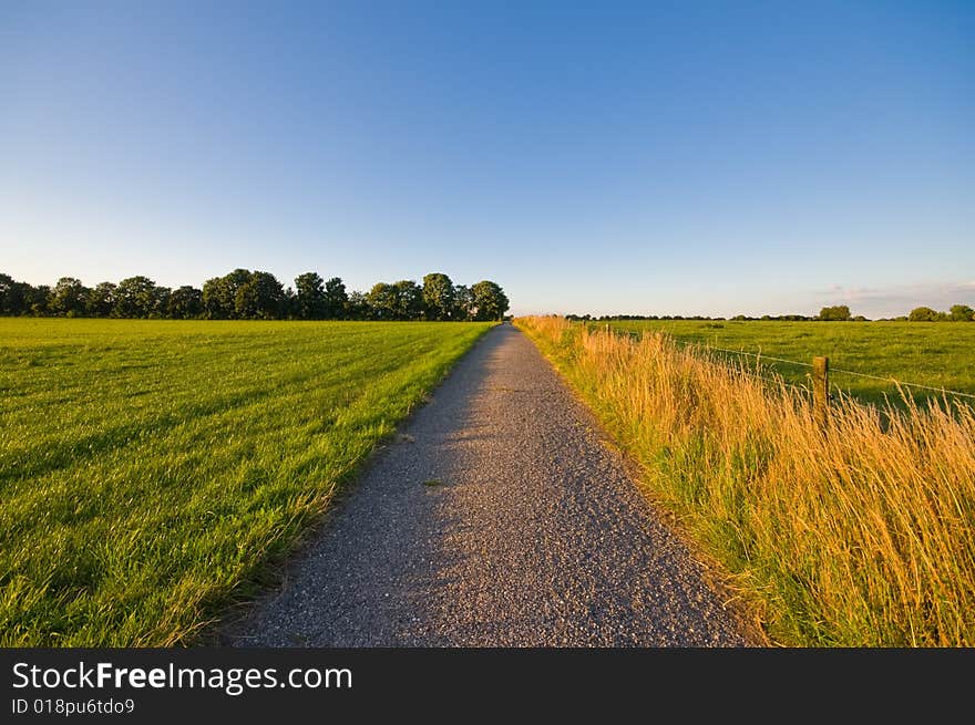 Country road  farmlandscape in the late afternoon