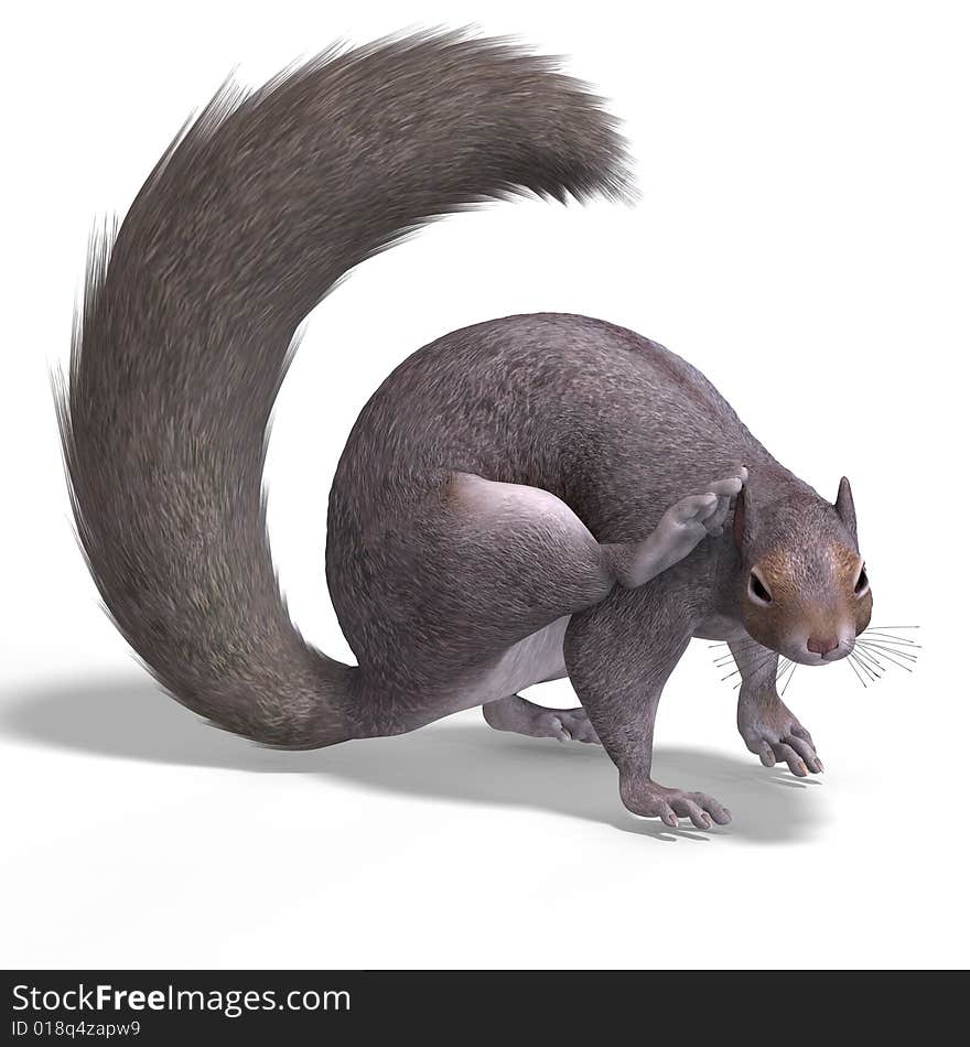 Squirrel 3D Render