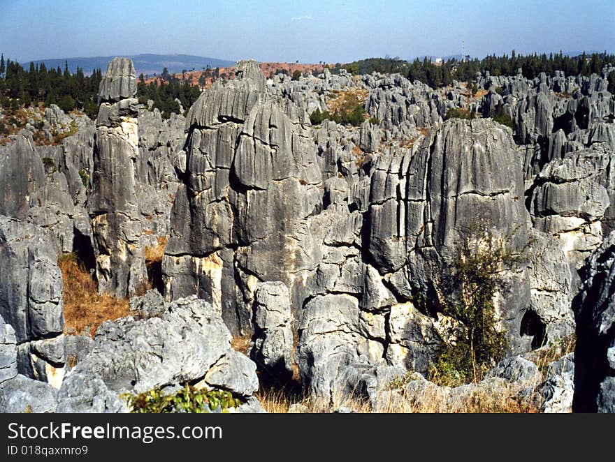 The stone forest