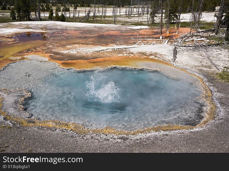 Boiling Water in Yellowstone National Park.