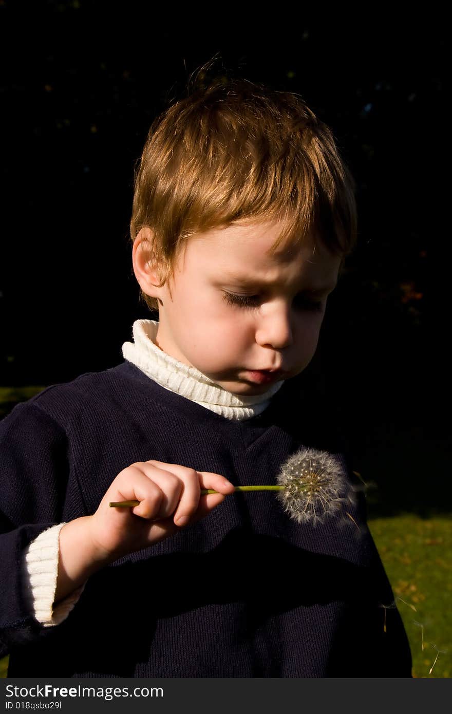 Little boy blowing on the dandelion. Little boy blowing on the dandelion.