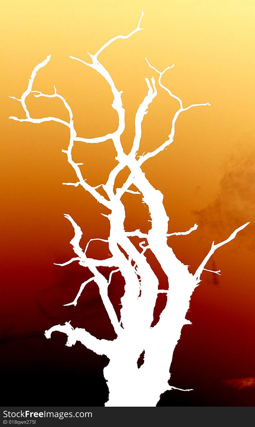 Colour inverted image of a single bare tree. Colour inverted image of a single bare tree