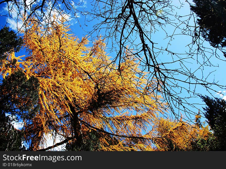 Clear sky of Huanglong