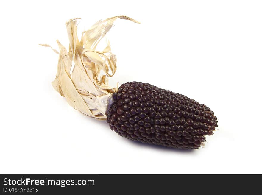 A photograph of dried corn against a white background. A photograph of dried corn against a white background