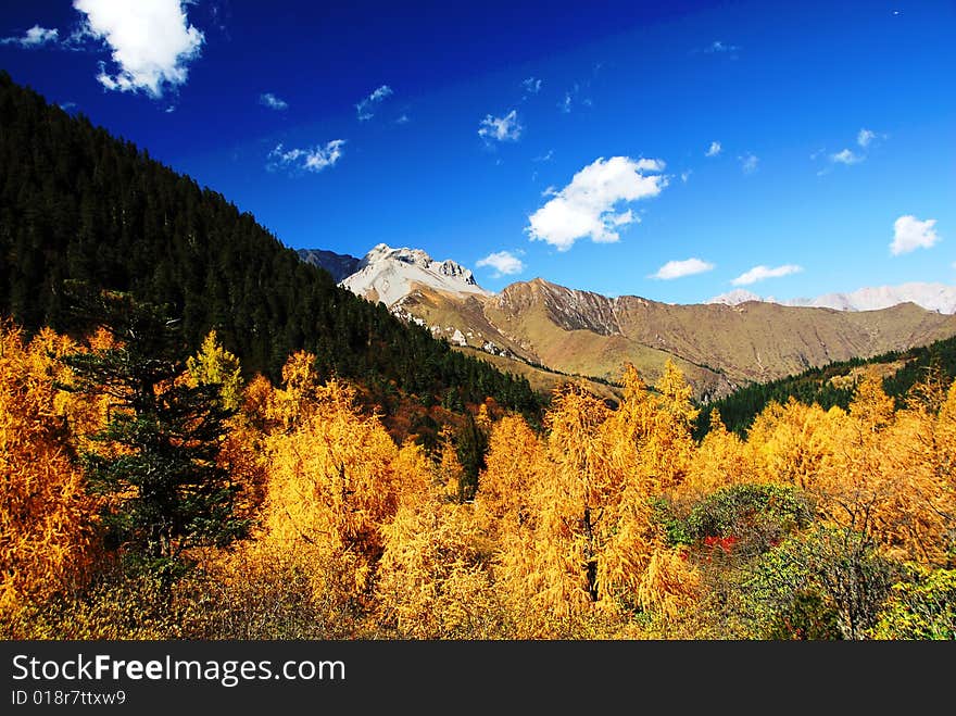 Clear sky of Huanglong